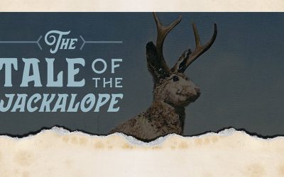 Discover Jaxon & The Tale Of The Jackalope