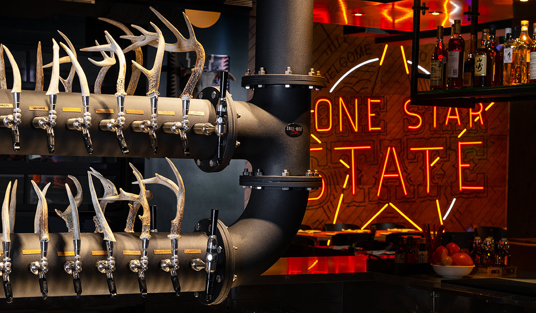 LONE STAR STATE